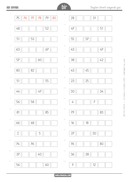 1.S�n�f Birer Ritmik Sayma (100�e kadar)(4) Etkinli�i