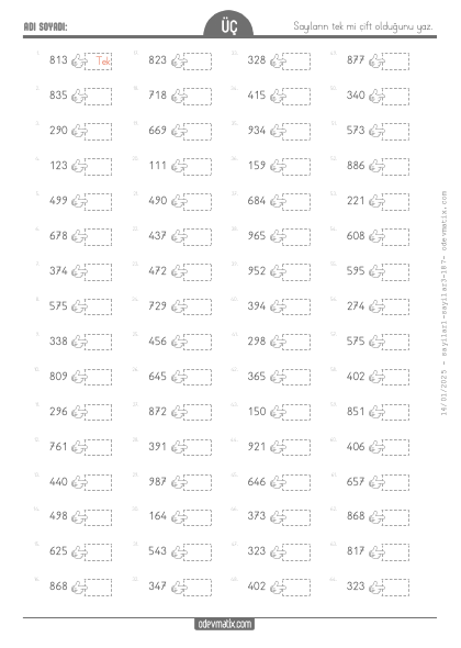 3.S�n�f Tek ve �ift Say�lar(1) Etkinli�i