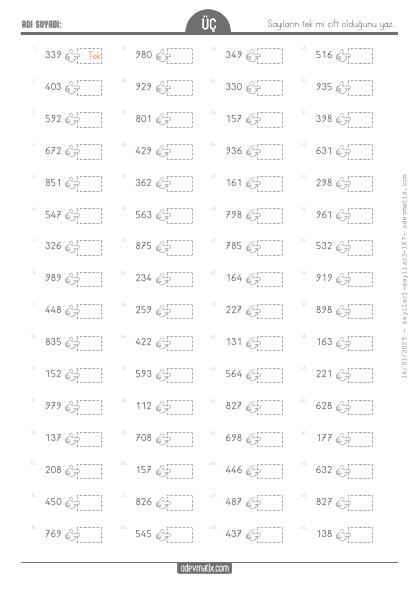 3.S�n�f Tek ve �ift Say�lar(3) Etkinli�i