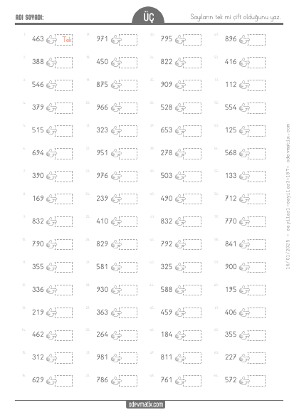 3.S�n�f Tek ve �ift Say�lar(4) Etkinli�i
